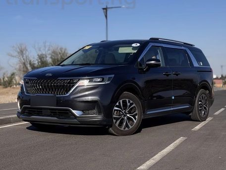 Kia Carnival, 2020
