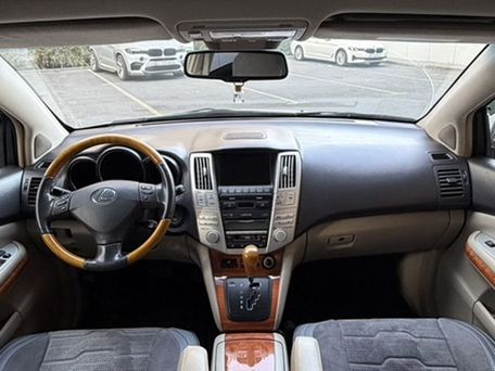 Lexus RX, 2009 — photo 7