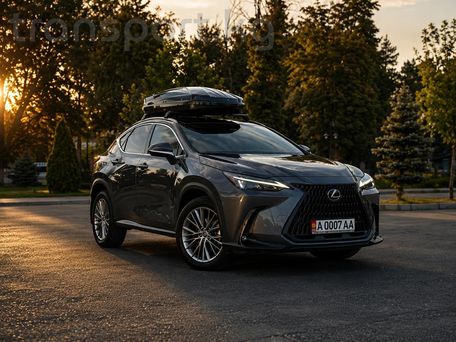 Lexus NX, 2023 — фото 1