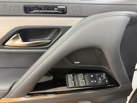 Lexus LX, 2023 — фото 10