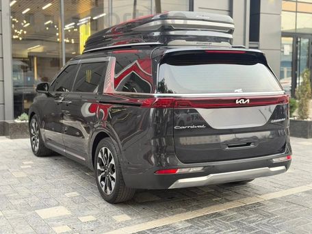 Kia Carnival, 2020 — фото 4