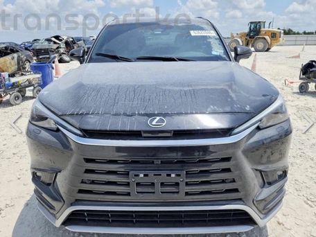 Lexus TX, 2024 — photo 1