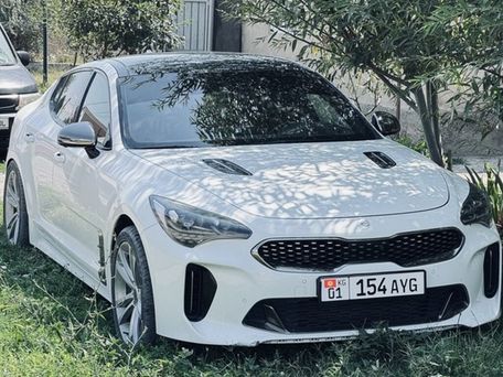 Kia Stinger, 2017 — фото 6