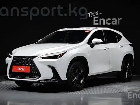 Lexus NX, 2025 — фото 1