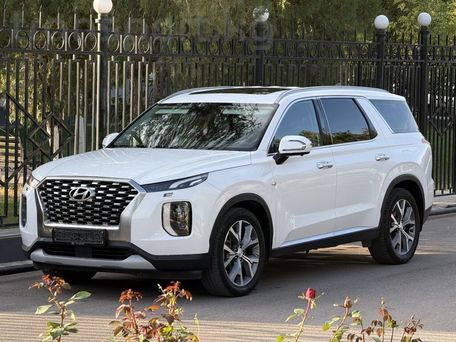 Hyundai Palisade, 2019 — фото 1