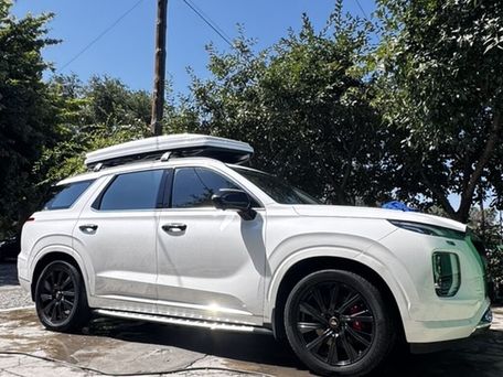 Hyundai Palisade, 2019 — сүрөт 6