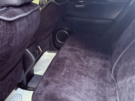 Lexus NX, 2016 — photo 9