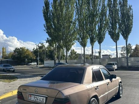 Mercedes-Benz W124, 1993 — фото 5
