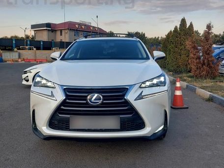 Lexus NX, 2021 — фото 1