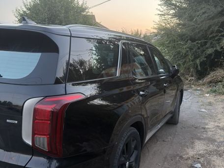 Hyundai Palisade, 2019 — photo 3