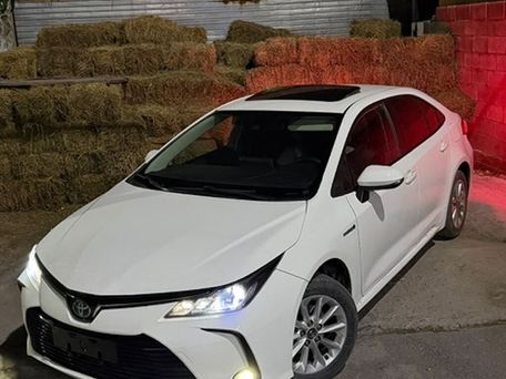 Toyota Corolla, 2019 — сүрөт 1