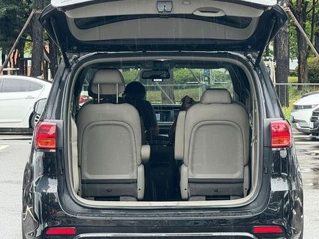 Kia Carnival, 2019 — фото 12