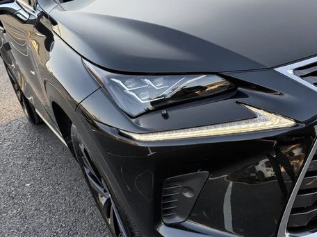 Lexus NX, 2019 — сүрөт 5