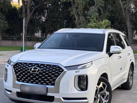 Hyundai Palisade, 2020 — 照片 1