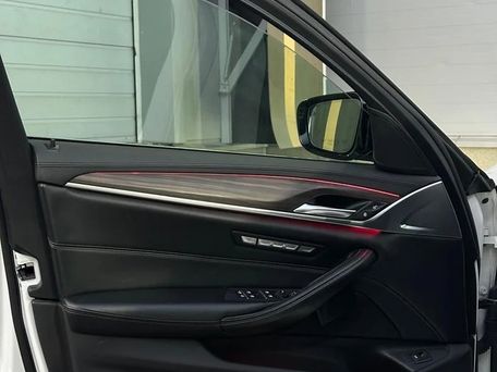 BMW 5 Series, 2017 — photo 12