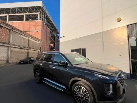 Hyundai Palisade, 2020 — photo 2