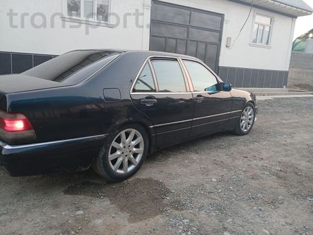 Mercedes-Benz S-Класс, 1996 — 照片 2
