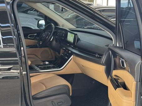 Kia Carnival, 2020 — photo 12