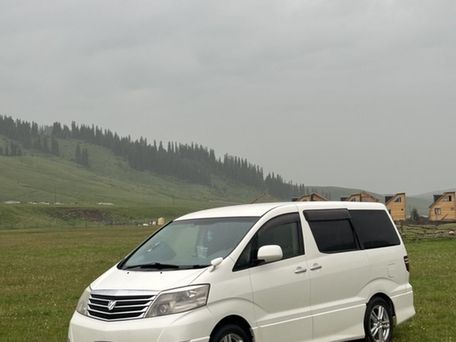 Toyota Alphard, 2006 — фото 1