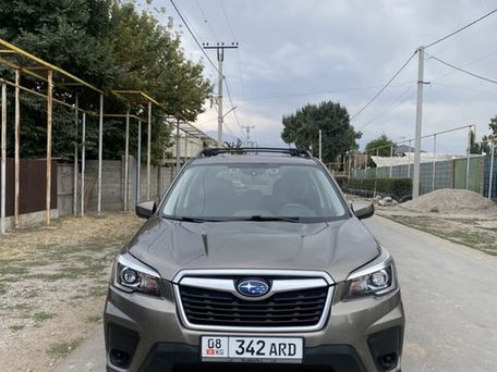 Subaru Forester, 2019 — фото 1