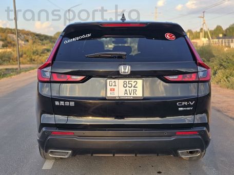 Honda CR-V, 2024 — сүрөт 8