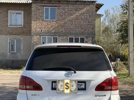Toyota Ipsum, 2002 — 照片 4