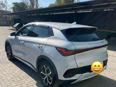 BYD Yuan Plus, 2023 — photo 8