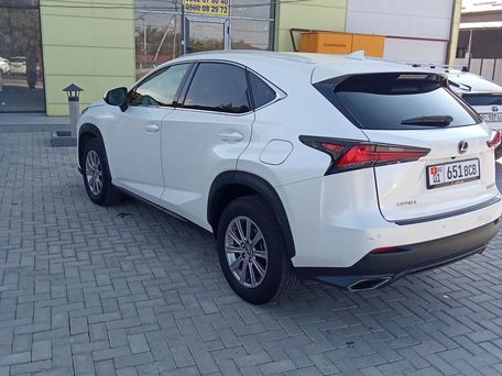 Lexus NX, 2020 — фото 12