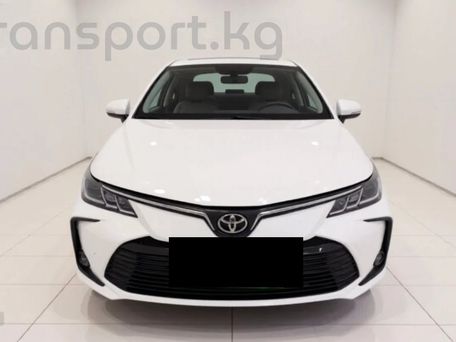 Toyota Corolla, 2023 — сүрөт 2