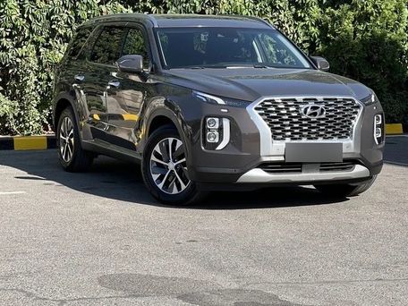 Hyundai Palisade, 2024 — фото 2