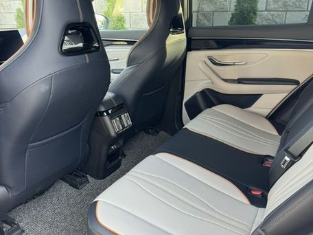 BYD Song Plus, 2024 — photo 14