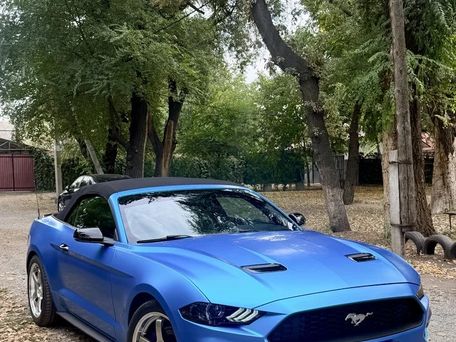 Ford Mustang, 2019 — сүрөт 10