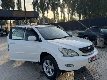 Lexus RX, 2004 — сүрөт 18