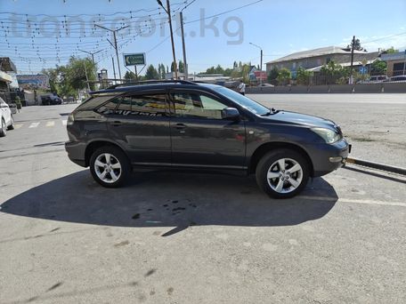 Lexus RX, 2004 — photo 3