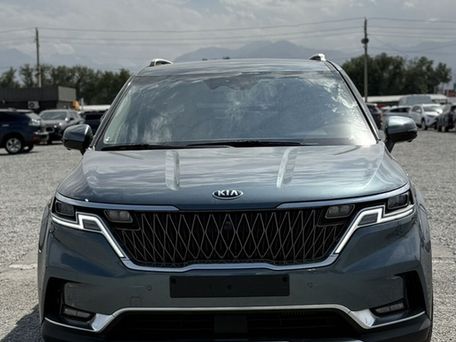 Kia Carnival, 2020