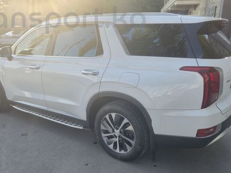 Hyundai Palisade, 2021 — сүрөт 4
