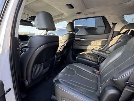 Hyundai Palisade, 2020 — photo 10