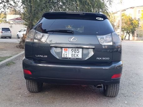 Lexus RX, 2004 — 照片 6