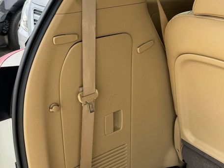 Kia Carnival, 2020 — фото 14
