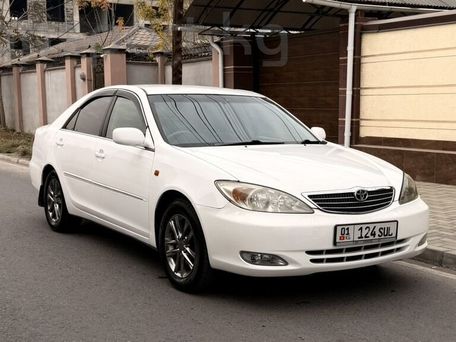 Toyota Camry, 2002 — фото 3