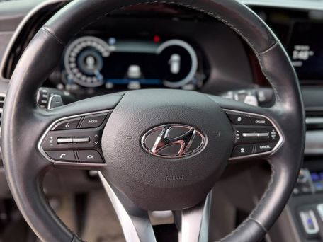 Hyundai Palisade, 2020 — photo 19
