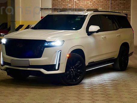 Cadillac Escalade-V, 2024 — фото 1