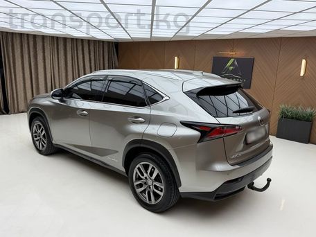 Lexus NX, 2017 — сүрөт 6