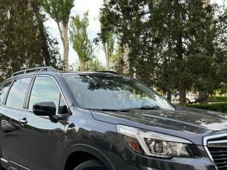 Subaru Forester, 2019 — фото 1