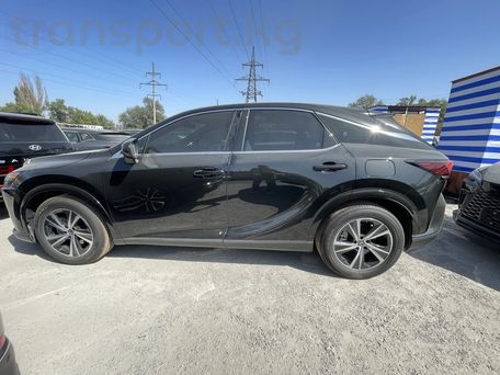 Lexus RX, 2026 — 照片 6