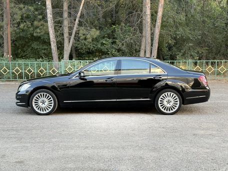 Mercedes-Benz S-Класс, 2010 — фото 8