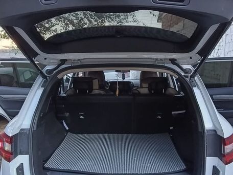 Renault Samsung QM6, 2020 — фото 9