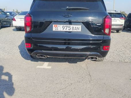 Hyundai Palisade, 2020 — photo 6