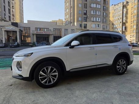 Hyundai Santa Fe, 2019 — фото 14