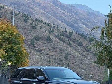 Hyundai Palisade, 2019 — сүрөт 1